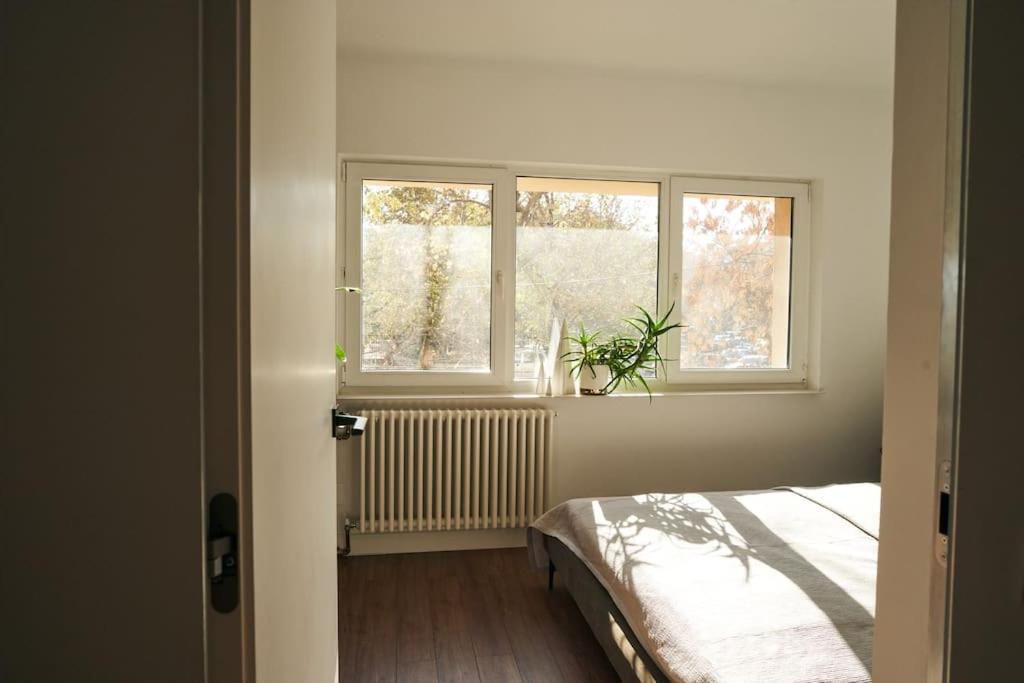 Ultracentral Two Rooms Apartment In Bukarest Eksteriør billede